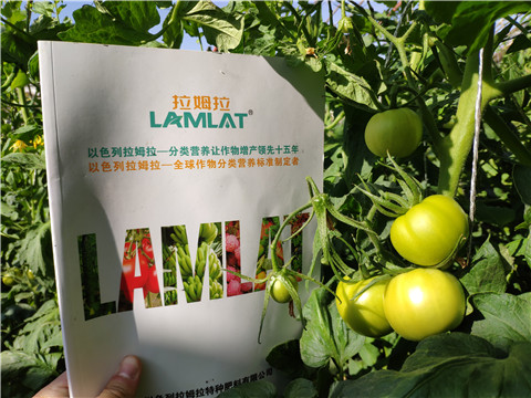 微生物菌劑，拉姆拉，伯示麥