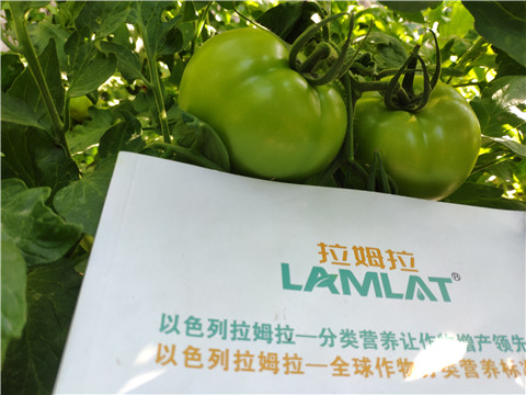 微生物菌劑，拉姆拉，伯示麥