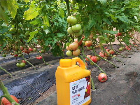 水溶肥，磷酸二氫鉀