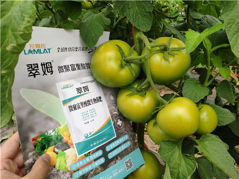 葉面肥，微生物菌劑，磷酸二氫鉀