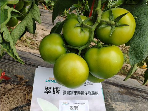 葉面肥，微生物菌劑，磷酸二氫鉀