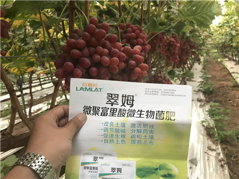 微生物菌劑，硼肥，鈣肥