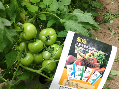 水溶肥，磷酸二氫鉀