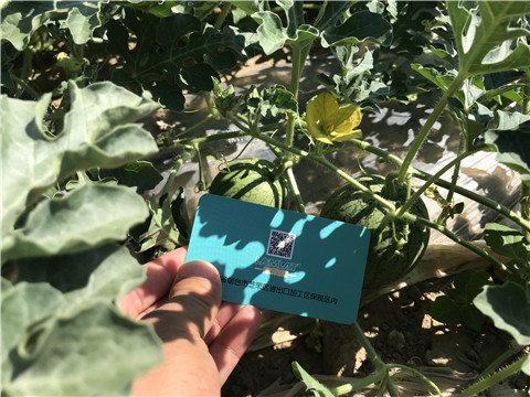 微生物菌劑，磷酸二氫鉀