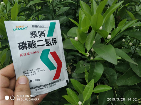 磷酸二氫鉀，硼肥，拉姆拉