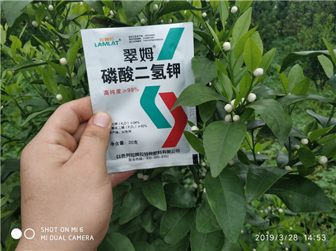 磷酸二氫鉀，硼肥，拉姆拉