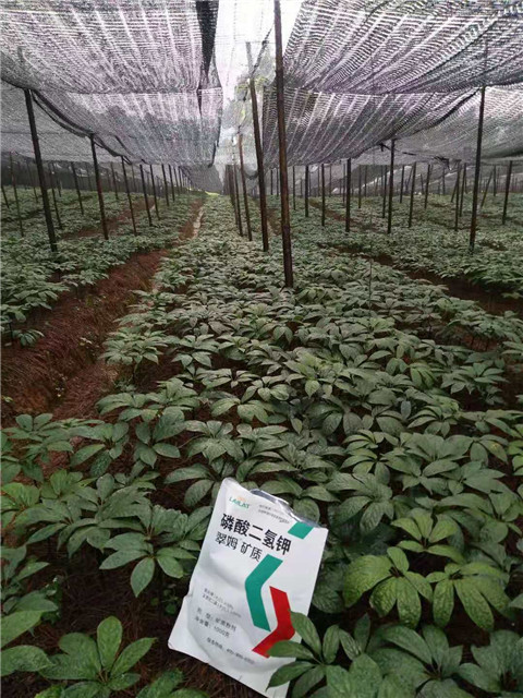 磷酸二氫鉀，安碧解，