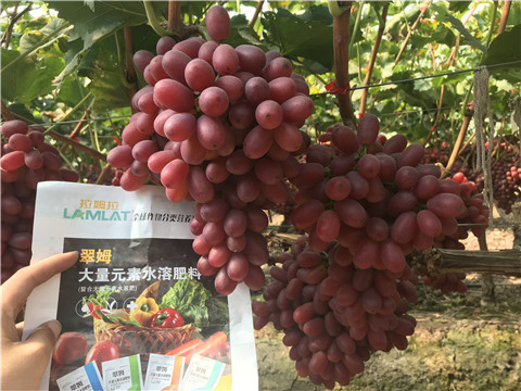 水溶肥，拉姆拉