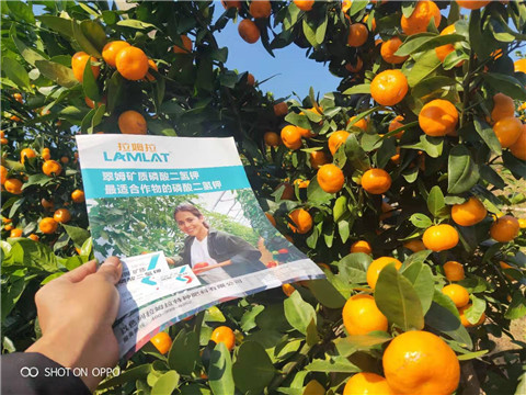 磷酸二氫鉀，硼肥，拉姆拉