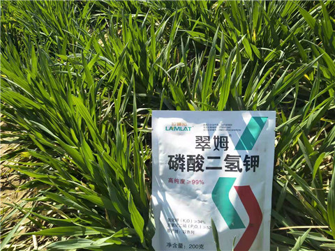 磷酸二氫鉀，葉面肥，拉姆拉