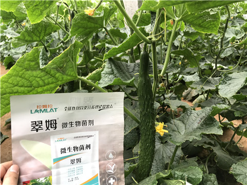 微生物菌劑，水溶肥，拉姆拉
