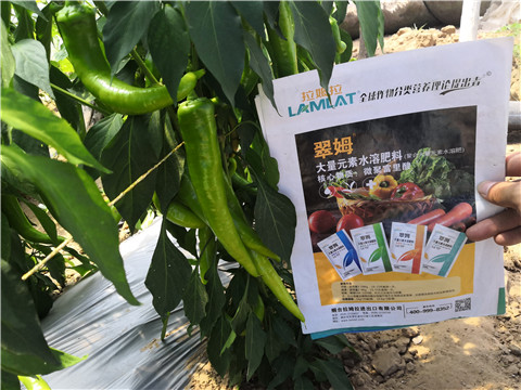 微生物菌劑，復(fù)合肥料，拉姆拉