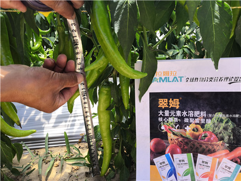 微生物菌劑，復(fù)合肥料，拉姆拉