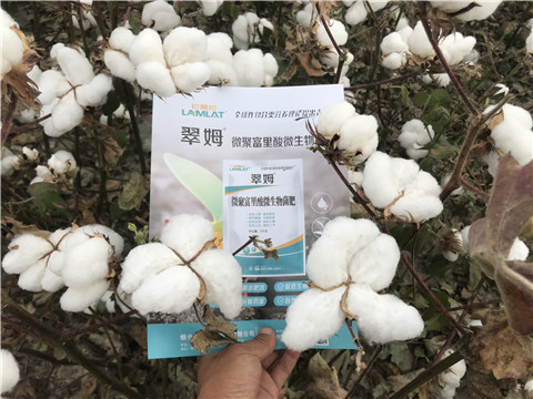 微生物菌劑，根碧多，拉姆拉