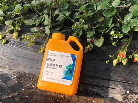 根碧多，微生物菌劑，拉姆拉