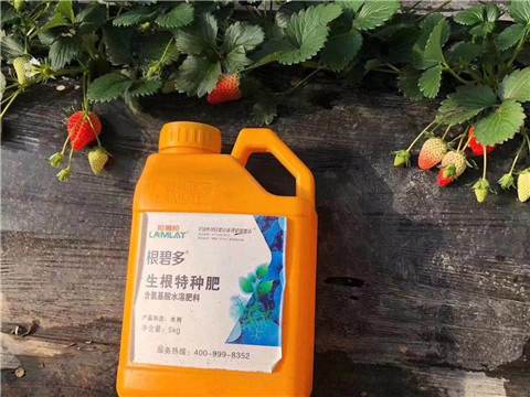 根碧多，微生物菌劑，拉姆拉