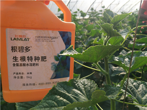 根碧多，磷酸二氫鉀，拉姆拉