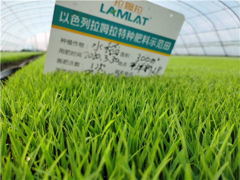 微生物菌劑，拉姆拉