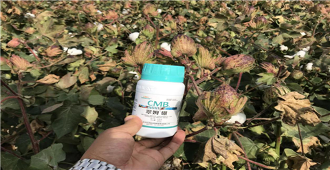 葉面肥，拉姆拉