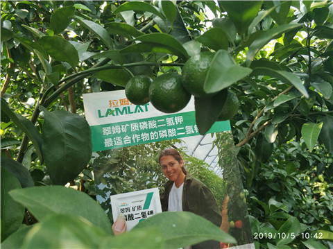 磷酸二氫鉀，拉姆拉