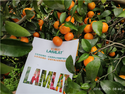 大量元素水溶肥，拉姆拉