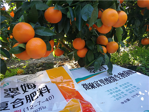 水溶肥，拉姆拉