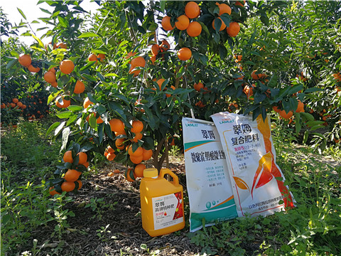 水溶肥，拉姆拉