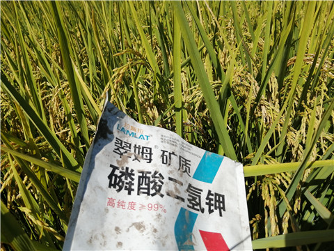 磷酸二氫鉀，翠姆，拉姆拉