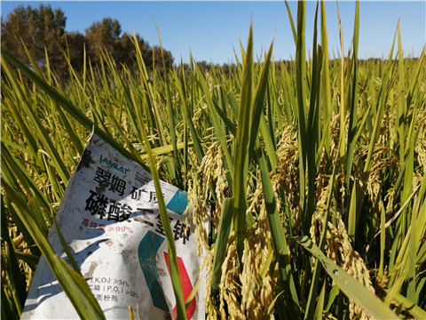 磷酸二氫鉀，翠姆，拉姆拉