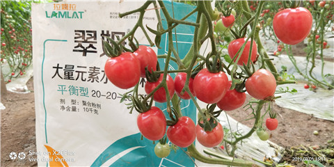 水溶肥，翠姆，拉姆拉