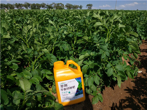 水溶肥，翠姆，拉姆拉