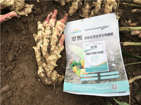 微生物菌劑，翠姆，拉姆拉