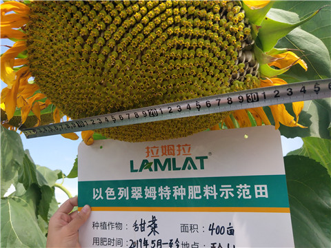 水溶肥，微生物菌劑，拉姆拉