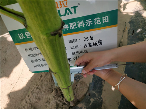 水溶肥，微生物菌劑，拉姆拉