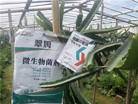 磷酸二氫鉀，翠姆，拉姆拉