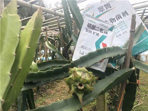 磷酸二氫鉀，翠姆，拉姆拉