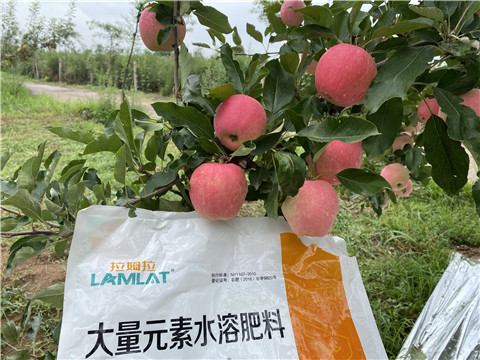 水溶肥，翠姆，拉姆拉