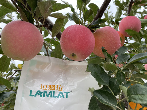 水溶肥，翠姆，拉姆拉