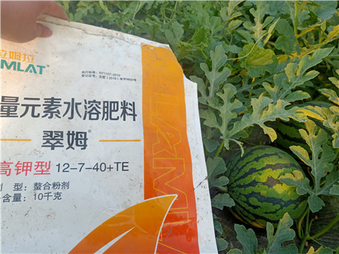 水溶肥，拉姆拉，翠姆