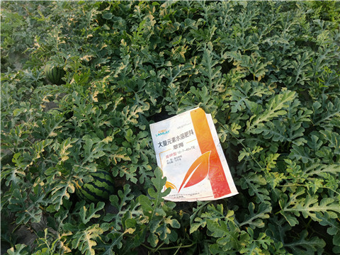 水溶肥，拉姆拉，翠姆