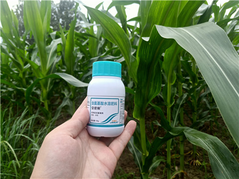 安碧解，拉姆拉