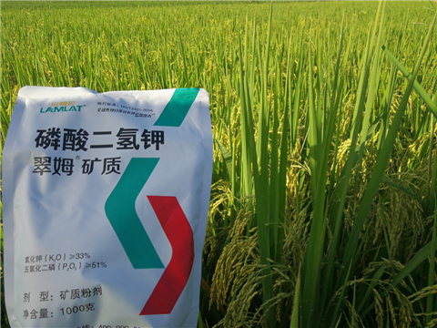 葉面肥，水稻灌漿肥，拉姆拉