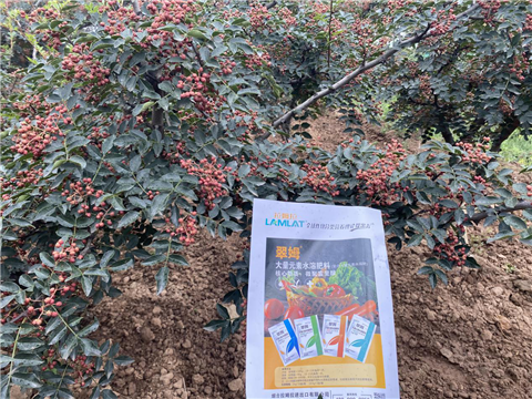 花椒種植，大量元素水溶肥，翠姆