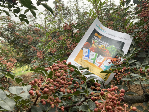 花椒種植，大量元素水溶肥，翠姆