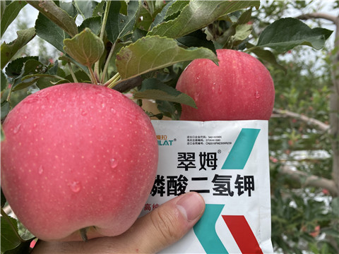 高鉀水溶肥，磷酸二氫鉀，拉姆拉，翠姆