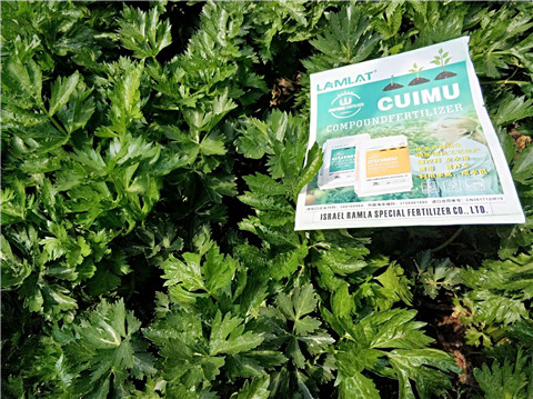 高鉀水溶肥，磷酸二氫鉀，拉姆拉，翠姆