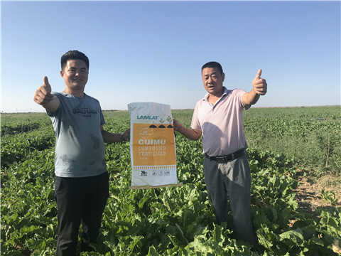 進(jìn)口水溶肥品牌，拉姆拉，翠姆