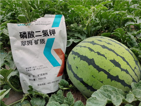 進(jìn)口水溶肥，翠姆，拉姆拉