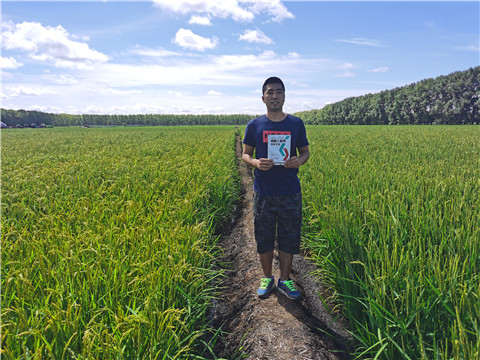 磷酸二氫鉀，拉姆拉，翠姆