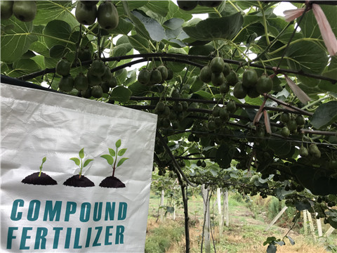 水溶肥，拉姆拉